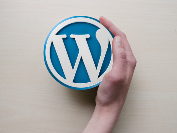 Why WordPress is Best Chocie for Business